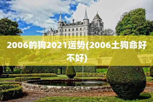 2006的狗2021运势(2006土狗命好不好)