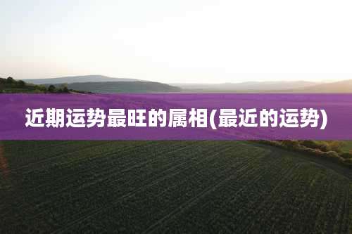 近期运势最旺的属相(最近的运势)