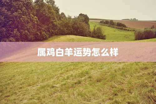 属鸡白羊运势怎么样