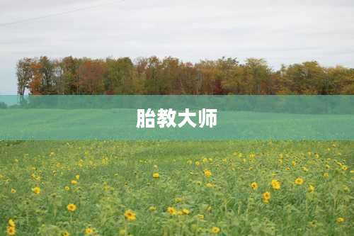 胎教大师