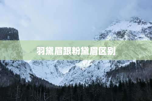 羽黛眉跟粉黛眉区别