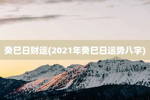 癸巳日财运(2021年癸巳日运势八字)