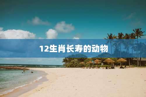 12生肖长寿的动物