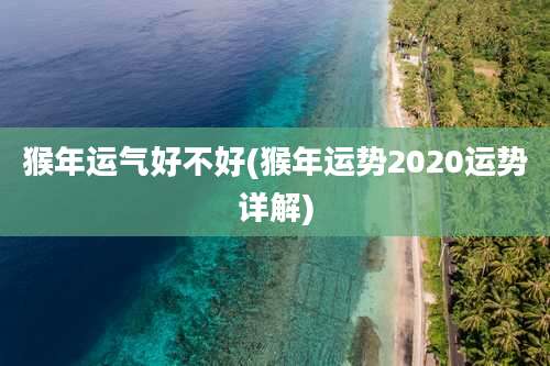 猴年运气好不好(猴年运势2020运势详解)