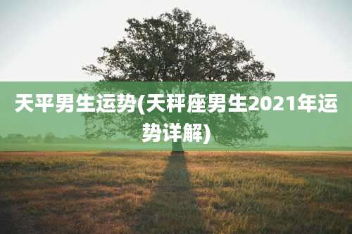 天平男生运势(天秤座男生2021年运势详解)