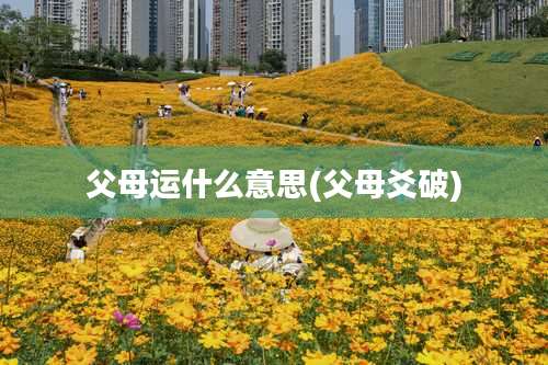 父母运什么意思(父母爻破)