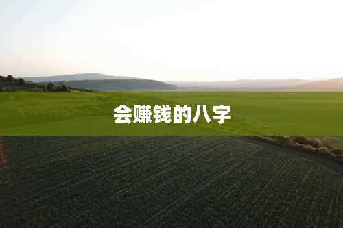 会赚钱的八字