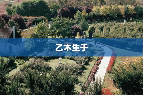 乙木生于