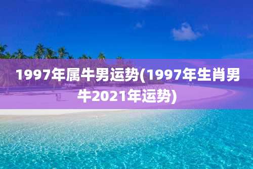 1997年属牛男运势(1997年生肖男牛2021年运势)
