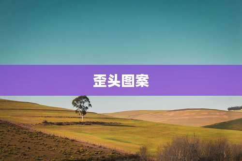 歪头图案