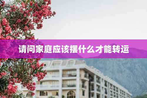 请问家庭应该摆什么才能转运