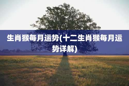 生肖猴每月运势(十二生肖猴每月运势详解)