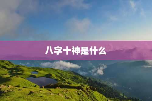 八字十神是什么