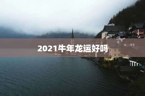 2021牛年龙运好吗
