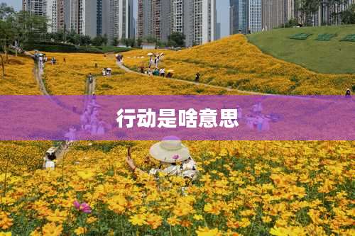 行动是啥意思