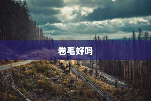 卷毛好吗