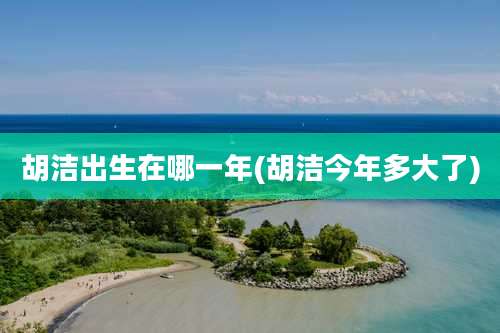 胡洁出生在哪一年(胡洁今年多大了)