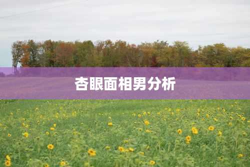 杏眼面相男分析