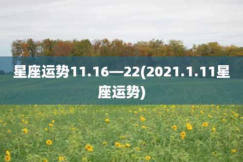 星座运势11.16—22(2021.1.11星座运势)