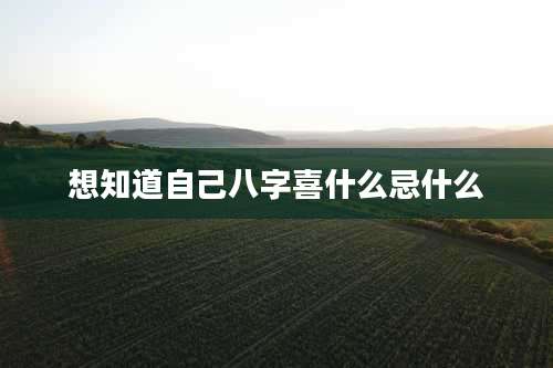 想知道自己八字喜什么忌什么