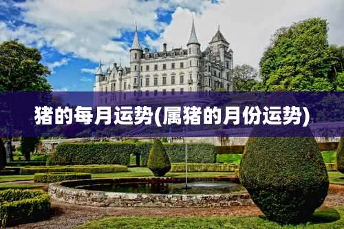 猪的每月运势(属猪的月份运势)