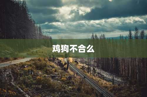 鸡狗不合么