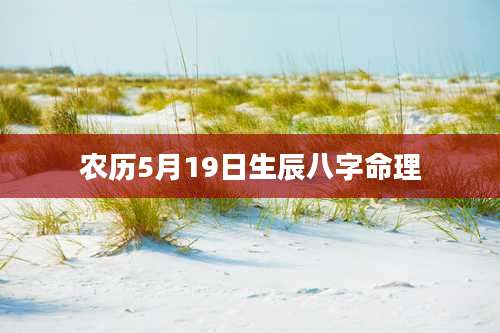 农历5月19日生辰八字命理