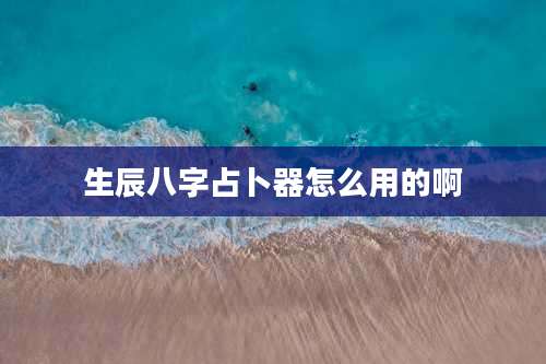 生辰八字占卜器怎么用的啊