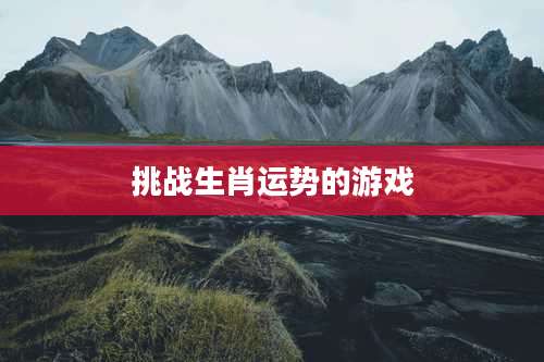 挑战生肖运势的游戏