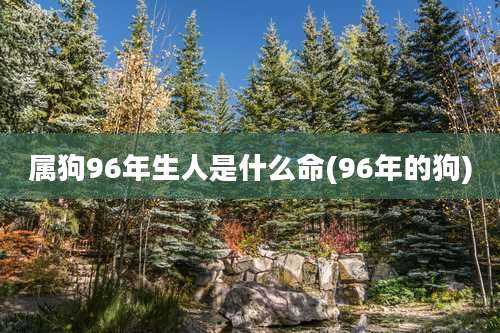 属狗96年生人是什么命(96年的狗)