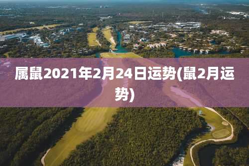 属鼠2021年2月24日运势(鼠2月运势)