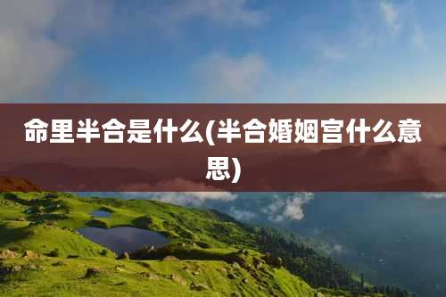 命里半合是什么(半合婚姻宫什么意思)