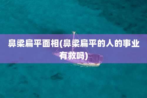 鼻梁扁平面相(鼻梁扁平的人的事业有救吗)