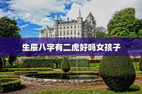 生辰八字有二虎好吗女孩子