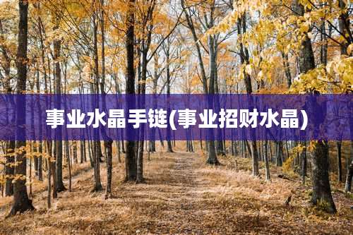 事业水晶手链(事业招财水晶)