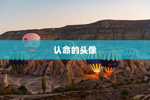 认命的头像