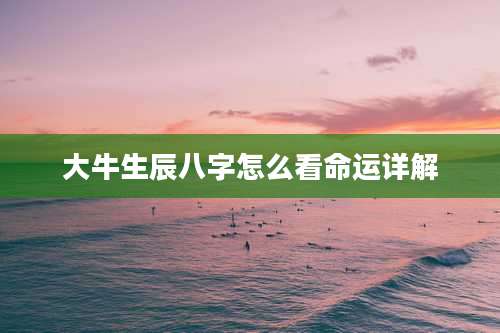 大牛生辰八字怎么看命运详解