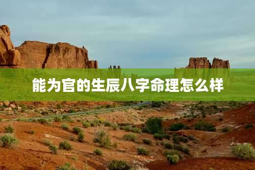 能为官的生辰八字命理怎么样