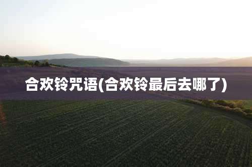 合欢铃咒语(合欢铃最后去哪了)