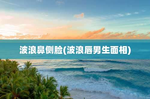 波浪鼻侧脸(波浪唇男生面相)