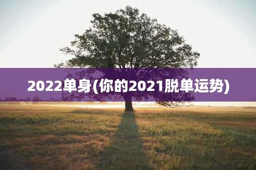 2022单身(你的2021脱单运势)