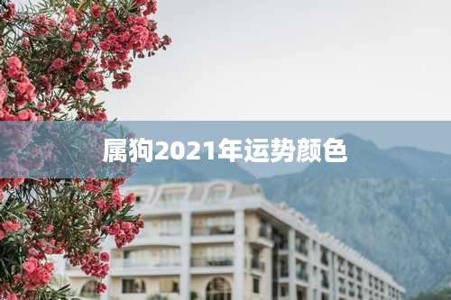 属狗2021年运势颜色