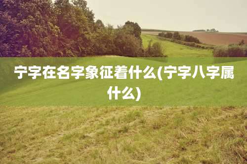 宁字在名字象征着什么(宁字八字属什么)