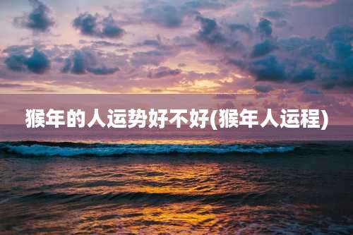 猴年的人运势好不好(猴年人运程)