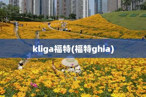 kliga福特(福特ghia)