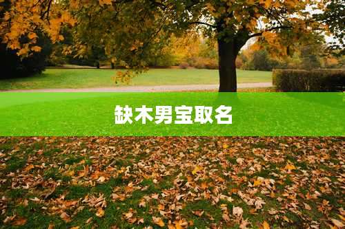 缺木男宝取名