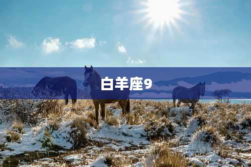 白羊座9