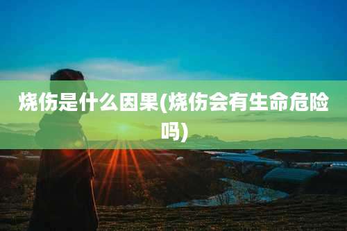 烧伤是什么因果(烧伤会有生命危险吗)