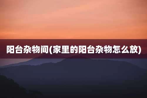 阳台杂物间(家里的阳台杂物怎么放)