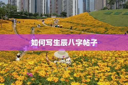 如何写生辰八字帖子